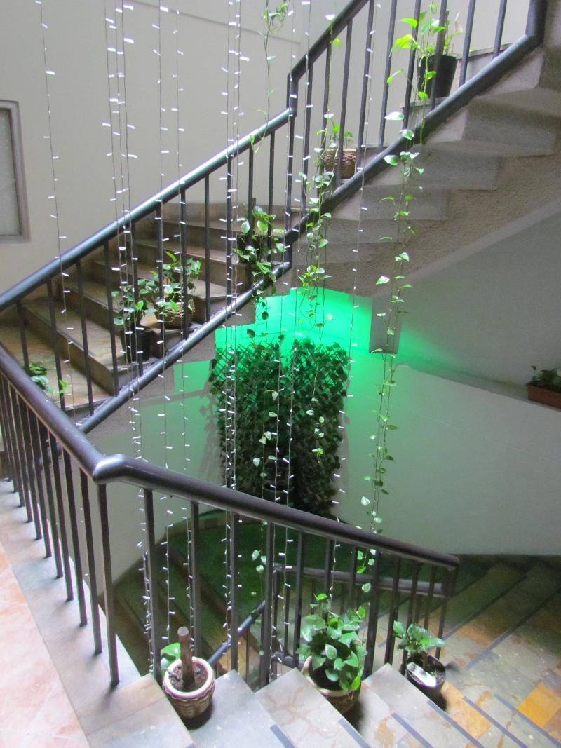 Hotel Plaza Mayor メデジン エクステリア 写真